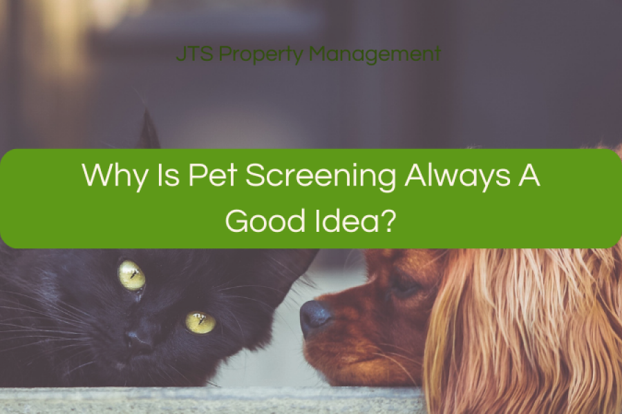 Why Is Pet Screening Always A Good Idea?